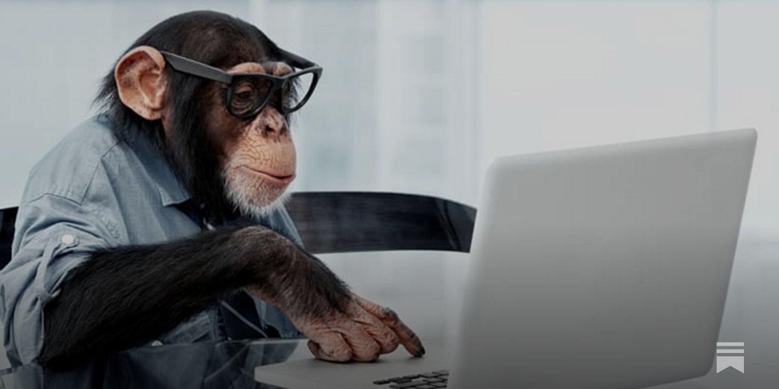 The monkeys that beat the market - Market Sentiment